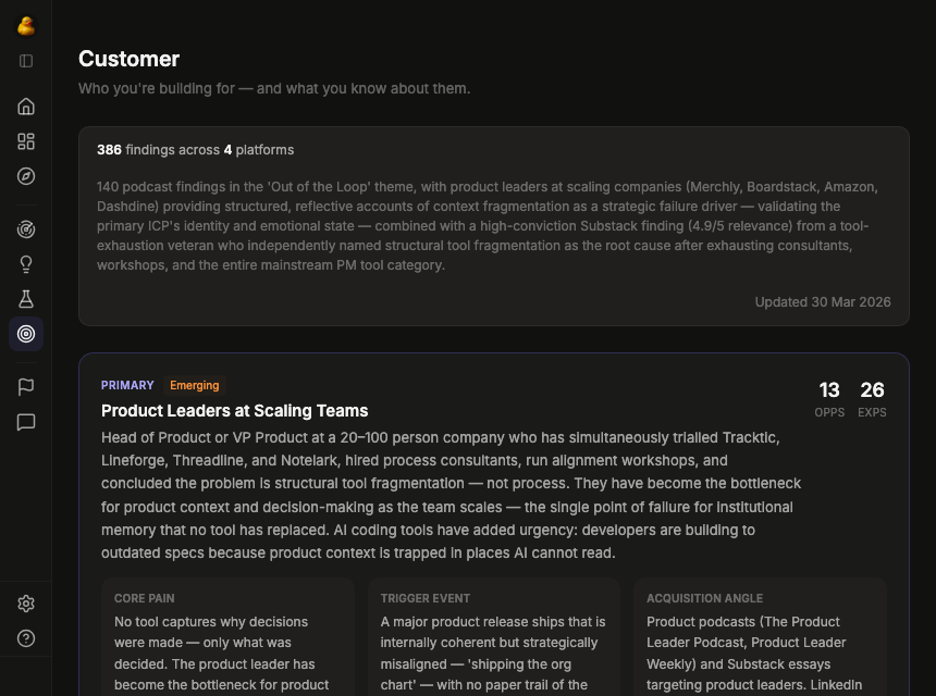 ICP profile showing who you are building for with segment details